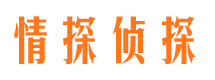 静宁市侦探调查公司